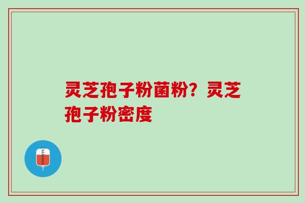 灵芝孢子粉菌粉？灵芝孢子粉密度