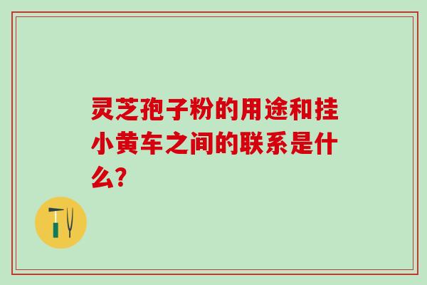 灵芝孢子粉的用途和挂小黄车之间的联系是什么？