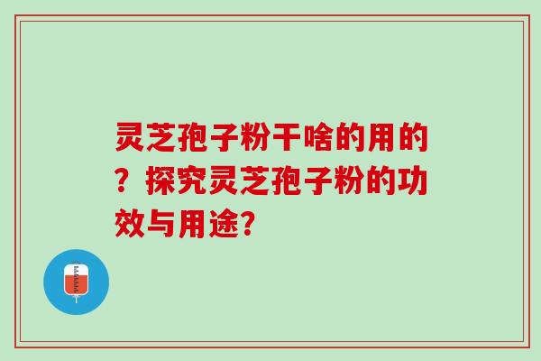 灵芝孢子粉干啥的用的？探究灵芝孢子粉的功效与用途？