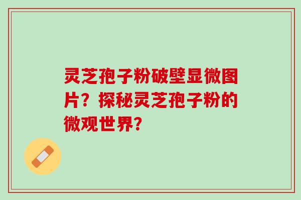 灵芝孢子粉破壁显微图片？探秘灵芝孢子粉的微观世界？