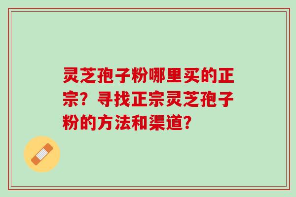 灵芝孢子粉哪里买的正宗？寻找正宗灵芝孢子粉的方法和渠道？