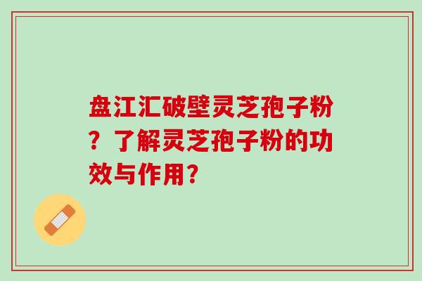 盘江汇破壁灵芝孢子粉？了解灵芝孢子粉的功效与作用？