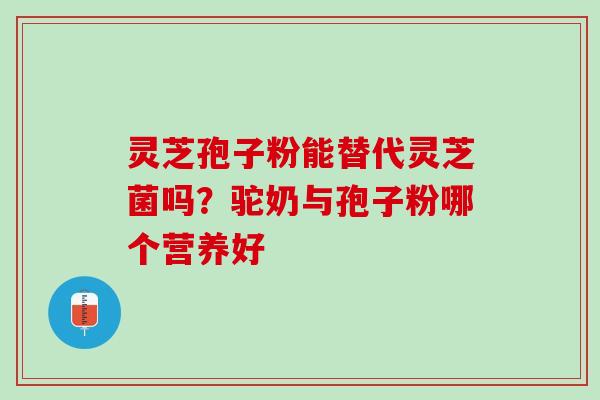 灵芝孢子粉能替代灵芝菌吗？驼奶与孢子粉哪个营养好