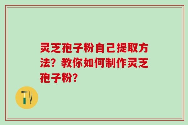 灵芝孢子粉自己提取方法？教你如何制作灵芝孢子粉？