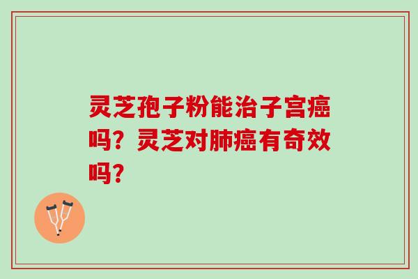 灵芝孢子粉能子宫吗?灵芝对有奇效吗? 灵芝孢子粉能子宫吗?灵芝对有奇效吗?