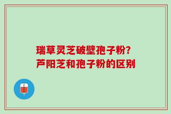 瑞草灵芝破壁孢子粉?芦阳芝和孢子粉的区别 瑞草灵芝破壁孢子粉?芦阳芝和孢子粉的区别