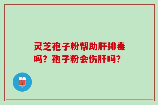 灵芝孢子粉帮助肝排毒吗？孢子粉会伤肝吗？
