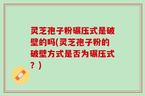 灵芝孢子粉碾压式是破壁的吗(灵芝孢子粉的破壁方式是否为碾压式？)