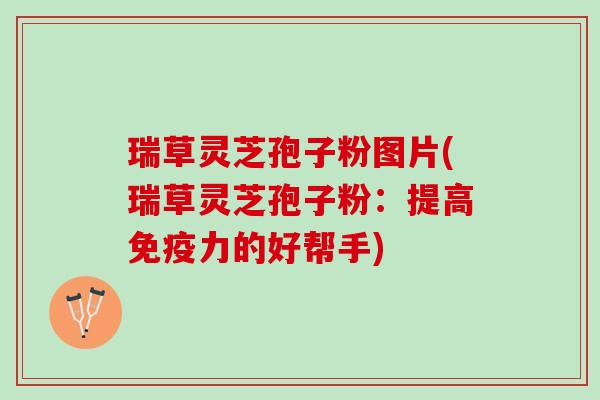 瑞草灵芝孢子粉图片(瑞草灵芝孢子粉：提高免疫力的好帮手)