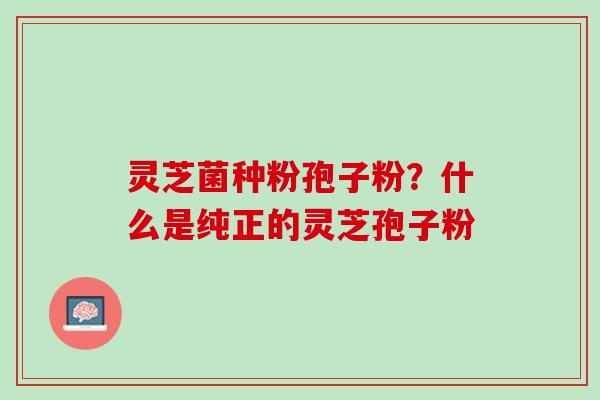 灵芝菌种粉孢子粉？什么是纯正的灵芝孢子粉