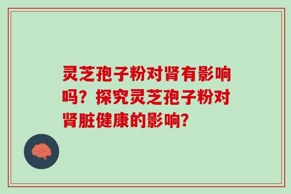 灵芝孢子粉对肾有影响吗？探究灵芝孢子粉对肾脏健康的影响？