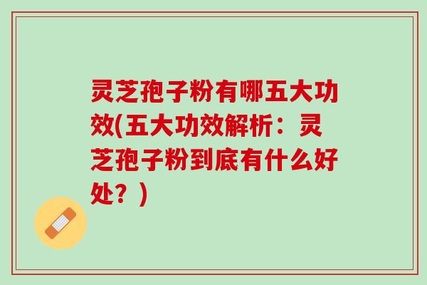 灵芝孢子粉有哪五大功效(五大功效解析：灵芝孢子粉到底有什么好处？)
