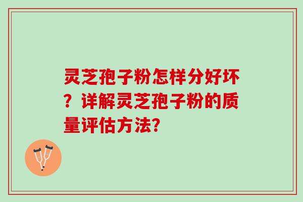灵芝孢子粉怎样分好坏？详解灵芝孢子粉的质量评估方法？