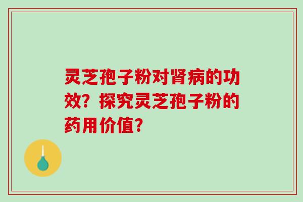 灵芝孢子粉对肾病的功效？探究灵芝孢子粉的药用价值？