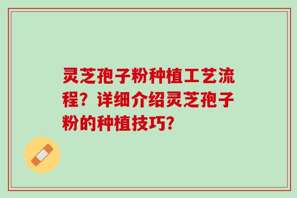 灵芝孢子粉种植工艺流程？详细介绍灵芝孢子粉的种植技巧？