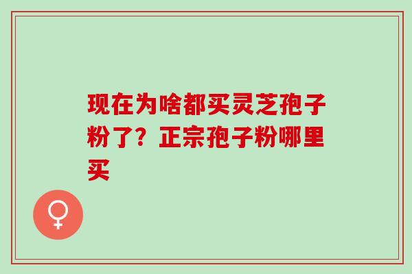 现在为啥都买灵芝孢子粉了？正宗孢子粉哪里买