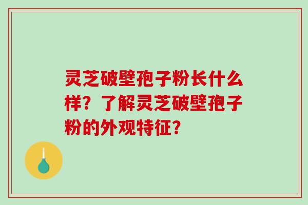 灵芝破壁孢子粉长什么样？了解灵芝破壁孢子粉的外观特征？