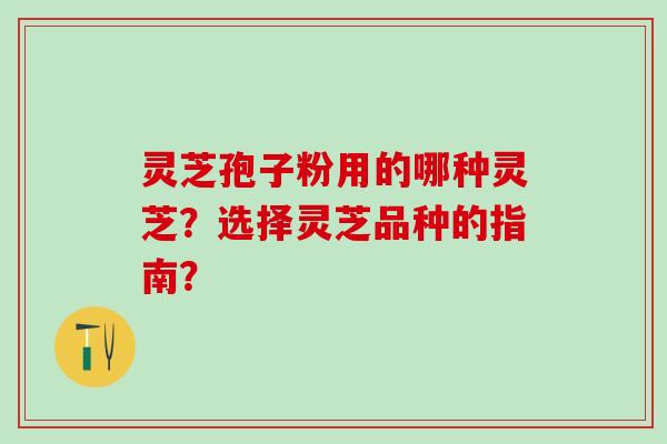 灵芝孢子粉用的哪种灵芝？选择灵芝品种的指南？
