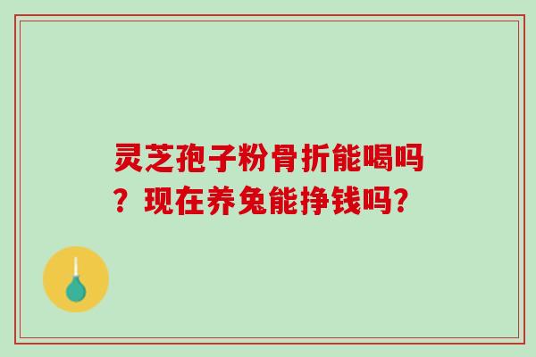 灵芝孢子粉骨折能喝吗？现在养兔能挣钱吗？
