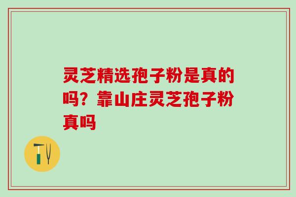 灵芝精选孢子粉是真的吗？靠山庄灵芝孢子粉真吗