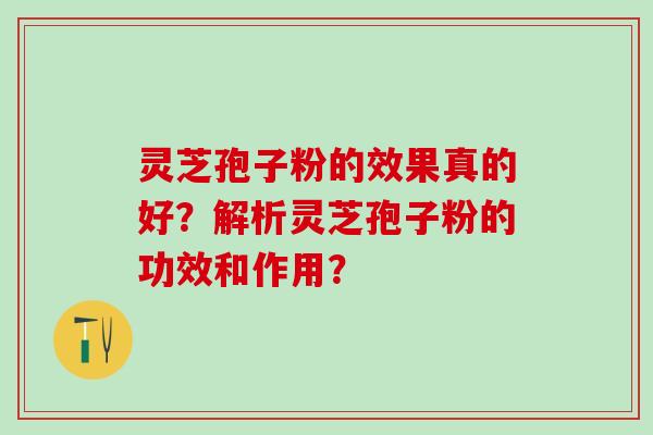 灵芝孢子粉的效果真的好？解析灵芝孢子粉的功效和作用？