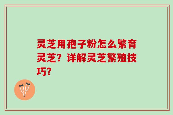 灵芝用孢子粉怎么繁育灵芝？详解灵芝繁殖技巧？