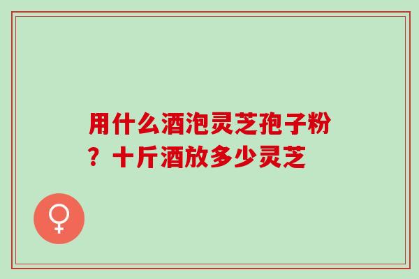 用什么酒泡灵芝孢子粉？十斤酒放多少灵芝