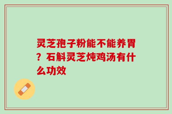 灵芝孢子粉能不能养胃？石斛灵芝炖鸡汤有什么功效