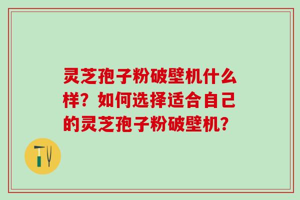 灵芝孢子粉破壁机什么样？如何选择适合自己的灵芝孢子粉破壁机？