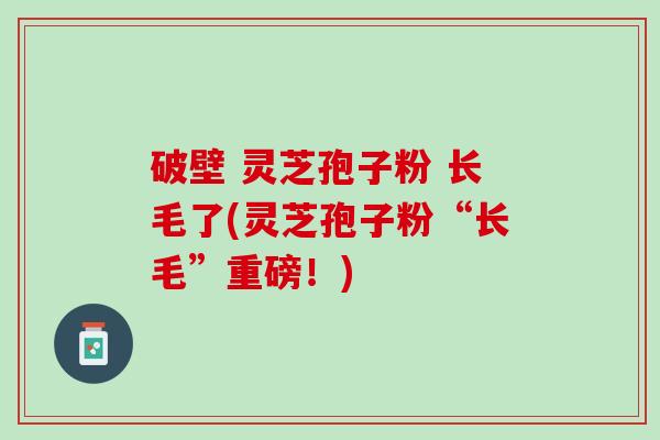 破壁 灵芝孢子粉 长毛了(灵芝孢子粉“长毛”重磅！)