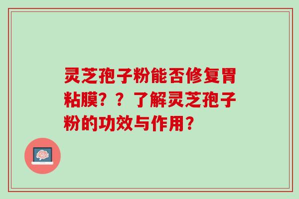 灵芝孢子粉能否修复胃粘膜??了解灵芝孢子粉的功效与作用? 灵芝孢子粉能否修复胃粘膜??了解灵芝孢子粉的功效与作用?