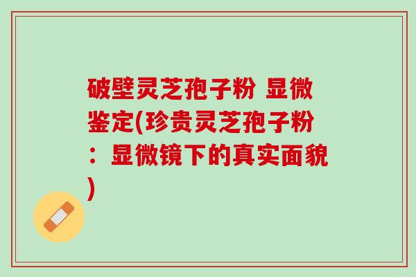 破壁灵芝孢子粉 显微鉴定(珍贵灵芝孢子粉：显微镜下的真实面貌)