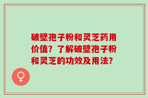 破壁孢子粉和灵芝药用价值？了解破壁孢子粉和灵芝的功效及用法？