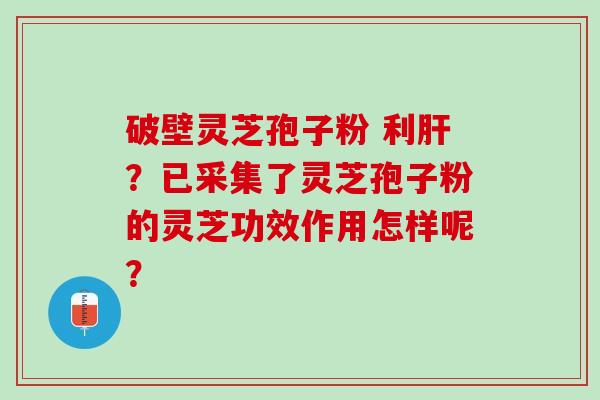 破壁灵芝孢子粉 利？已采集了灵芝孢子粉的灵芝功效作用怎样呢？