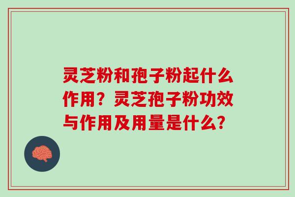 灵芝粉和孢子粉起什么作用?灵芝孢子粉功效与作用及用量是什么? 灵芝粉和孢子粉起什么作用?灵芝孢子粉功效与作用及用量是什么?