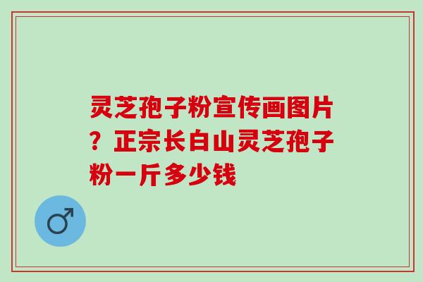 灵芝孢子粉宣传画图片？正宗长白山灵芝孢子粉一斤多少钱