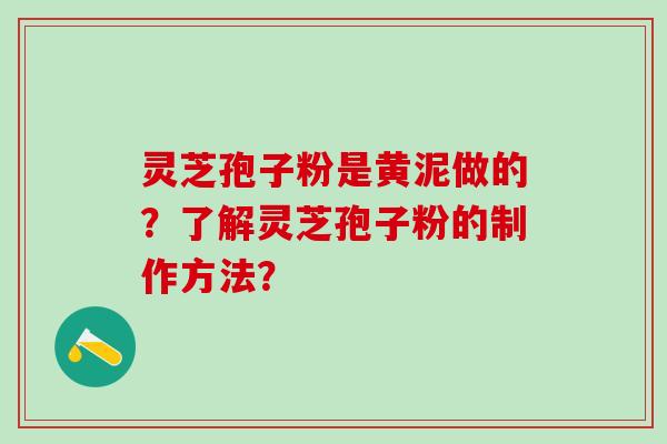 灵芝孢子粉是黄泥做的?了解灵芝孢子粉的制作方法? 灵芝孢子粉是黄泥做的?了解灵芝孢子粉的制作方法?