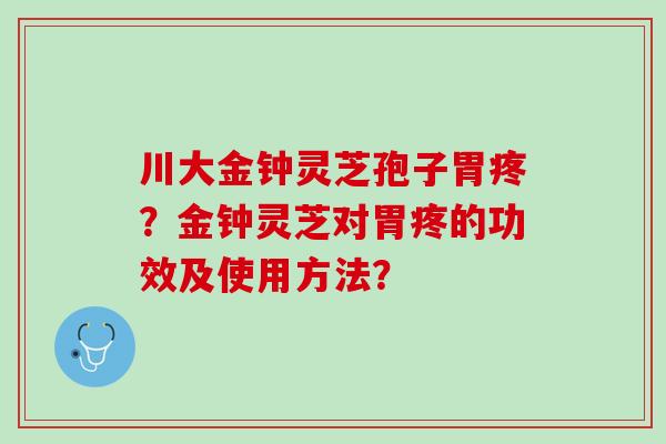 川大金钟灵芝孢子胃疼？金钟灵芝对胃疼的功效及使用方法？