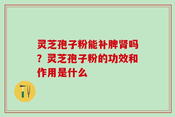 灵芝孢子粉能补脾肾吗？灵芝孢子粉的功效和作用是什么
