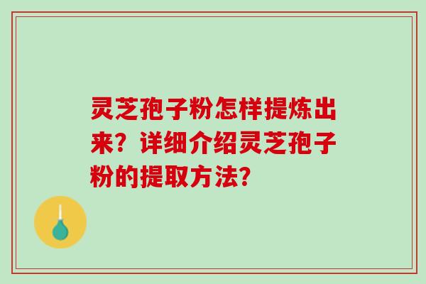 灵芝孢子粉怎样提炼出来？详细介绍灵芝孢子粉的提取方法？