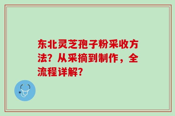 东北灵芝孢子粉采收方法？从采摘到制作，全流程详解？