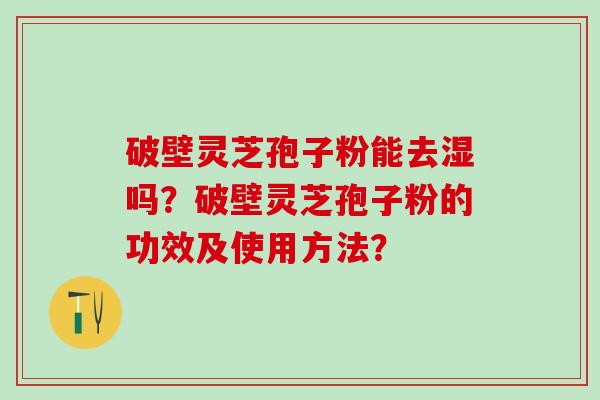 破壁灵芝孢子粉能去湿吗？破壁灵芝孢子粉的功效及使用方法？