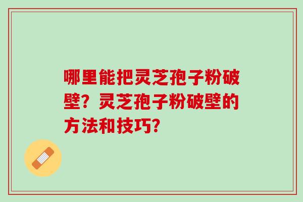 哪里能把灵芝孢子粉破壁？灵芝孢子粉破壁的方法和技巧？
