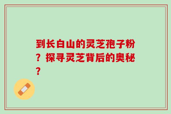 到长白山的灵芝孢子粉？探寻灵芝背后的奥秘？