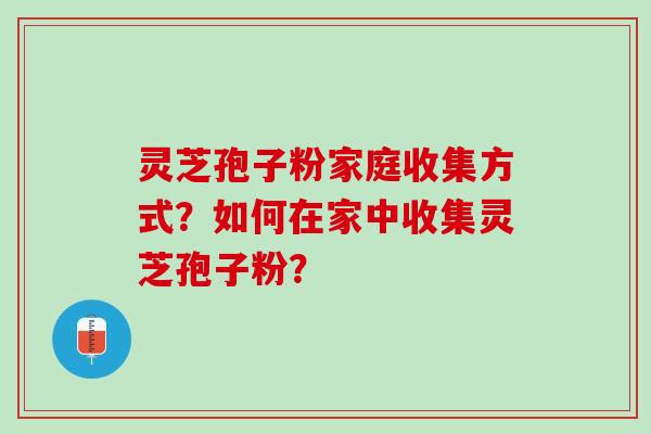 灵芝孢子粉家庭收集方式？如何在家中收集灵芝孢子粉？