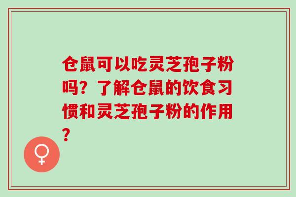 仓鼠可以吃灵芝孢子粉吗？了解仓鼠的饮食习惯和灵芝孢子粉的作用？