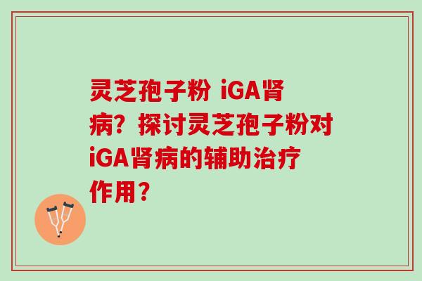 灵芝孢子粉 iGA肾病？探讨灵芝孢子粉对iGA肾病的辅助治疗作用？