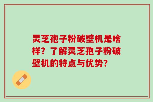 灵芝孢子粉破壁机是啥样?了解灵芝孢子粉破壁机的特点与优势? 灵芝孢子粉破壁机是啥样?了解灵芝孢子粉破壁机的特点与优势?