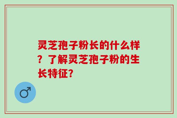 灵芝孢子粉长的什么样？了解灵芝孢子粉的生长特征？