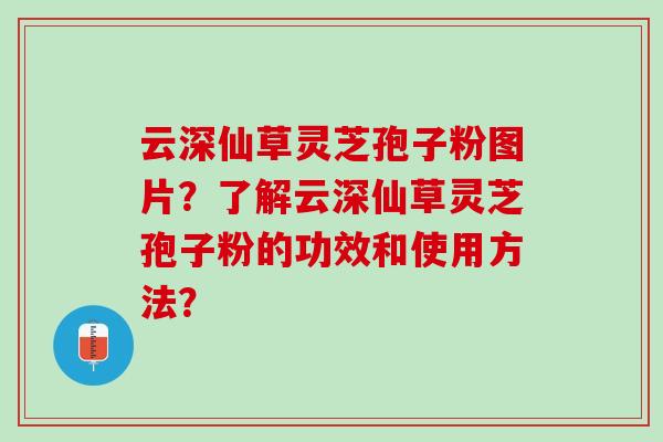 云深仙草灵芝孢子粉图片？了解云深仙草灵芝孢子粉的功效和使用方法？